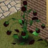 gothic dark red roses