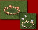 fairy ring