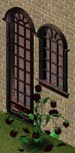 wrought iron windows